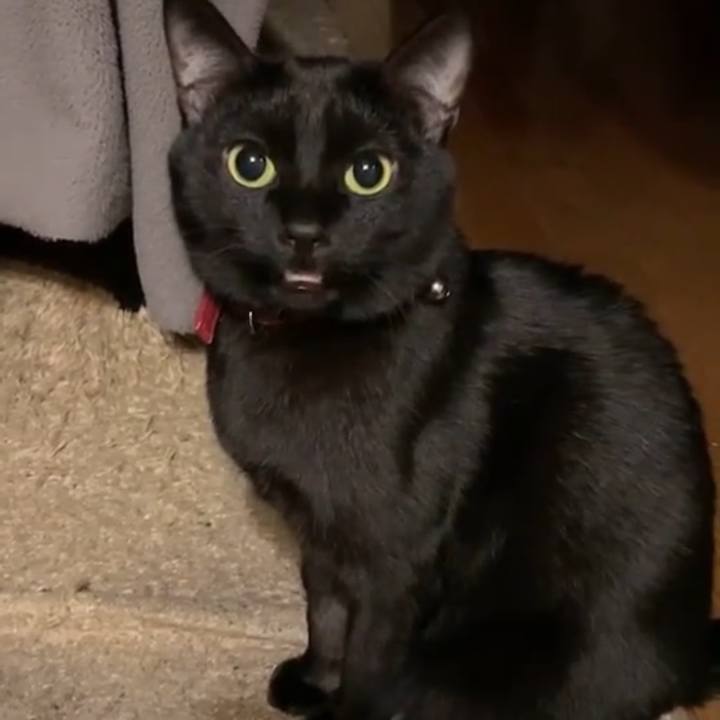 9ff08d03 fed6 4856 8ad6 c723bf5accd3 1611407974515