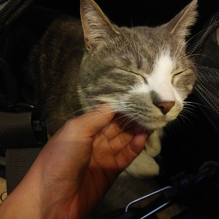 9ff08d2b b486 497e aa2d 2b8f4b9bace2 1587307790946