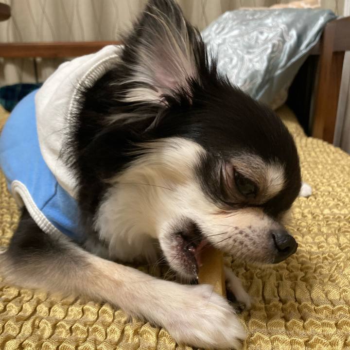 9ff0f82a 632b 4182 860d 67461093d215 1648993425123