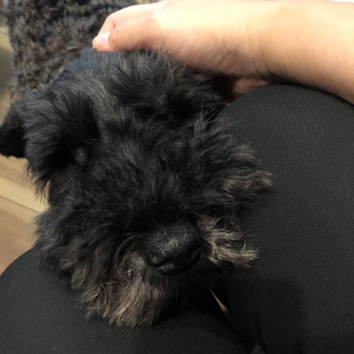 9ff0fecf b891 4846 ae16 2b4d587f7471 1595402212436