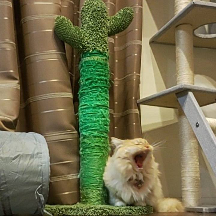 9ff1066e 5ff5 4b60 8ffd 09c855eee19c 1675428404717