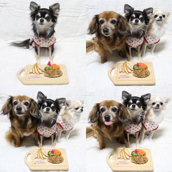 9ff15a83 8e5a 4ced b164 3bc83e9b61d6 1637371029550