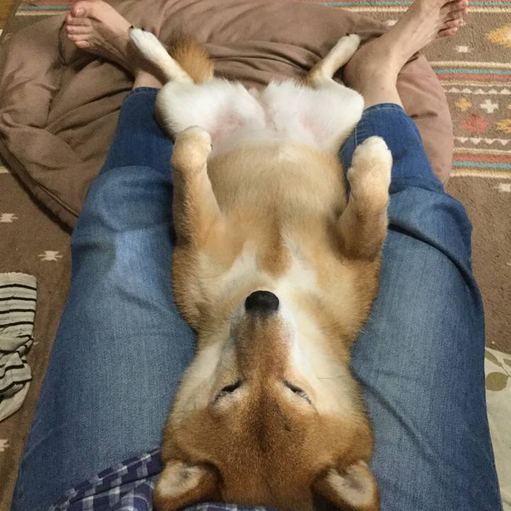 9ff15df8 f498 4e21 8c19 7f09a8fce4d1 1561870001070