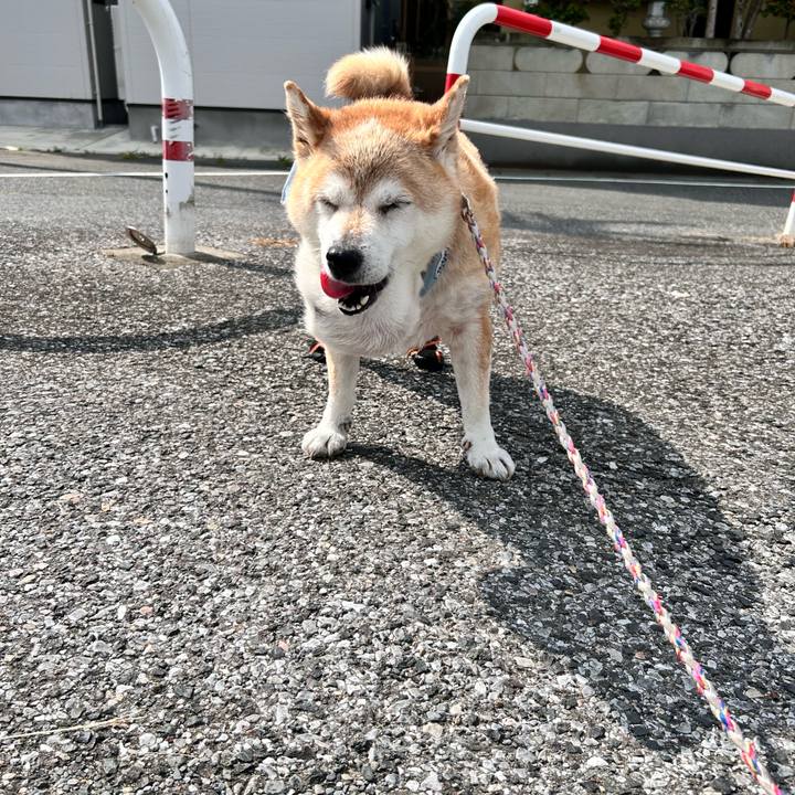 9ff16e27 8487 447f 9ca6 faf699484d54 1754197341856