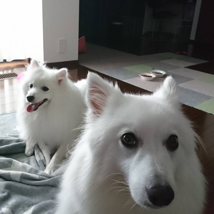 9ff17fd7 87be 4e28 8fef 3b85961f4719 1593147221013