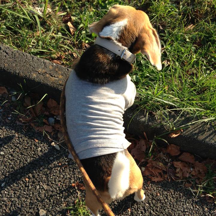 9ff1aa2f a84c 40c9 879b f914c090a6a5 1761808744165