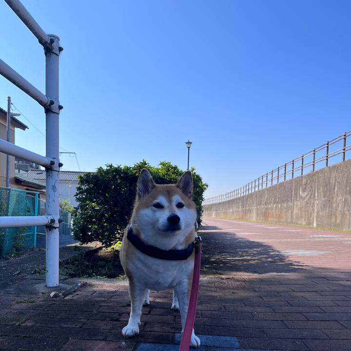 9ff1c907 255c 472e 8a5f 3b85ddec5e23 1698984991422