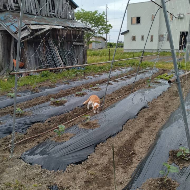 9ff1e973 2208 40f3 9aed a9a3da86603c 1747433856116