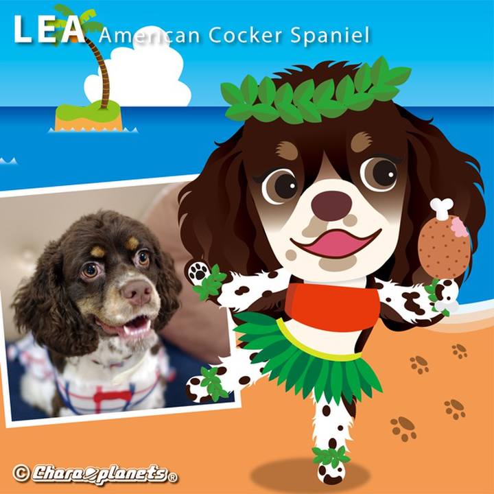 9ff21b59 ee82 4437 ae68 a951ee7beca7 1558570170687