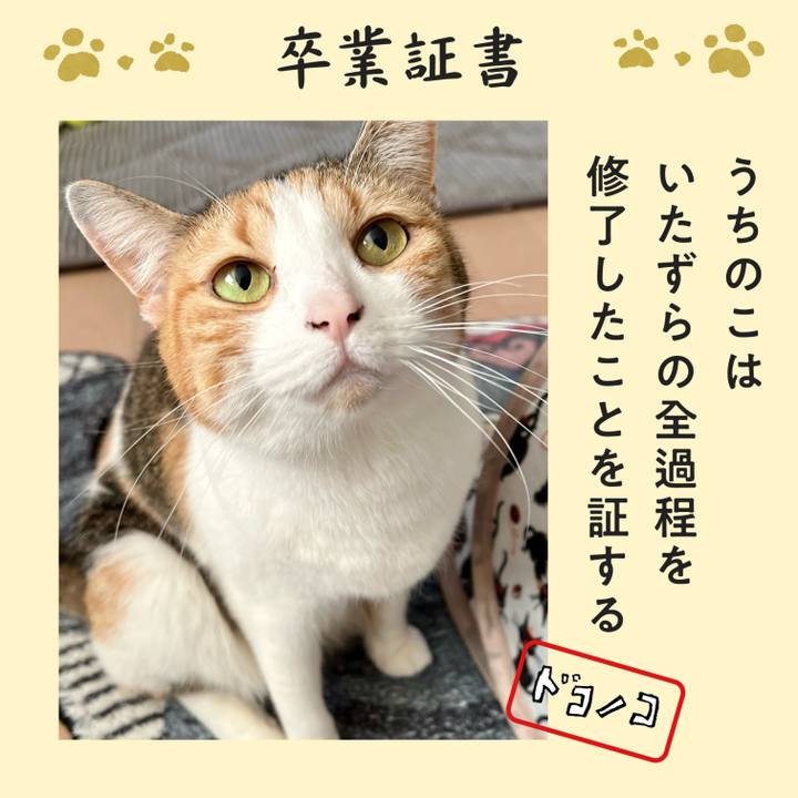 9ff2579b baa5 4678 a2c7 718bbf8a721f 1771817443561