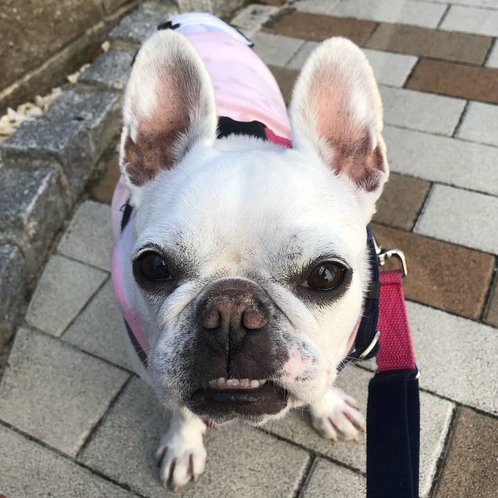 9ff27d8e c7f2 41fe 9f90 b35d9f084328 1613798783069