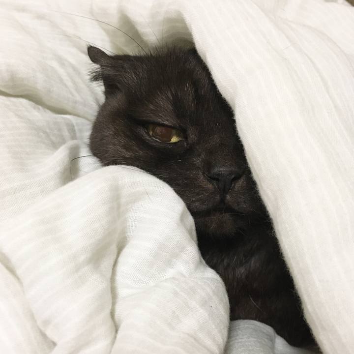 9ff294e9 dbf6 4287 958c 2a1bc69b2c4d 1574751576290