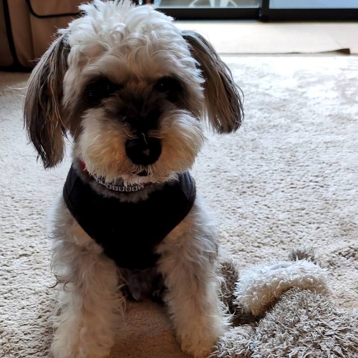 9ff29e54 6c58 43ed bf6e 418c309a6fca 1754800063104