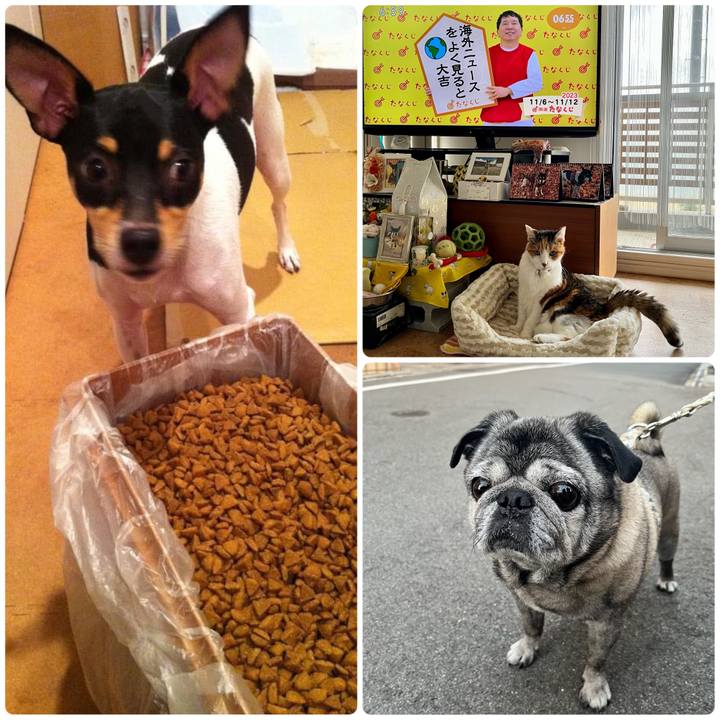 9ff2e121 4b92 4a6c 9d9b eb162147a9fb 1699222475367