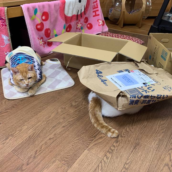 9ff2f3d9 f53a 421d b9cb 901f17768702 1650576453645