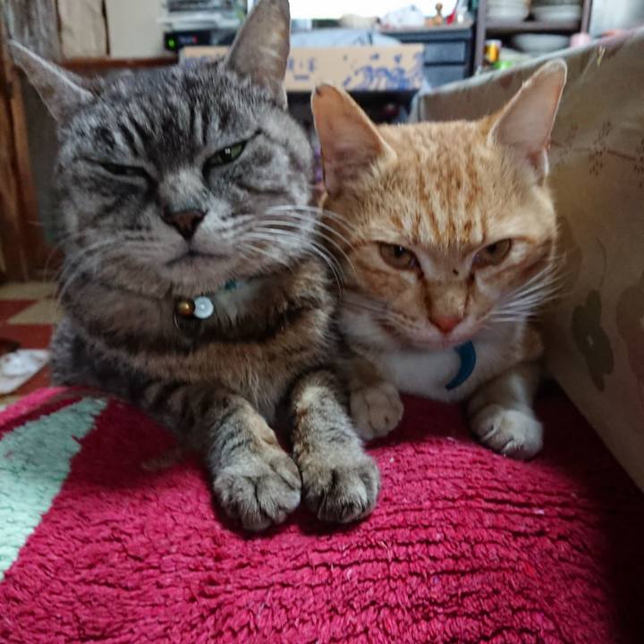 9ff32caf d79a 4ada 8011 bbb2cfc7ff2c 1555803995723