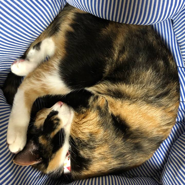 9ff33a11 e00e 4e31 8697 240eb12555f7 1563106816016