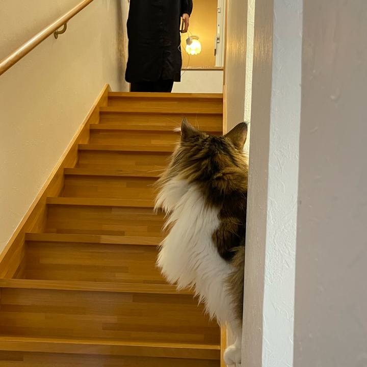 9ff33c32 f431 4d27 a5c3 19b1126bfd9f 1678308068626