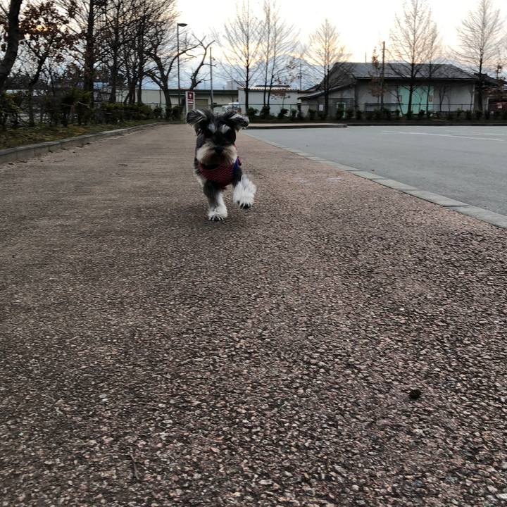 9ff3af11 4a94 45f6 b961 dbf84c8673f6 1551571107062