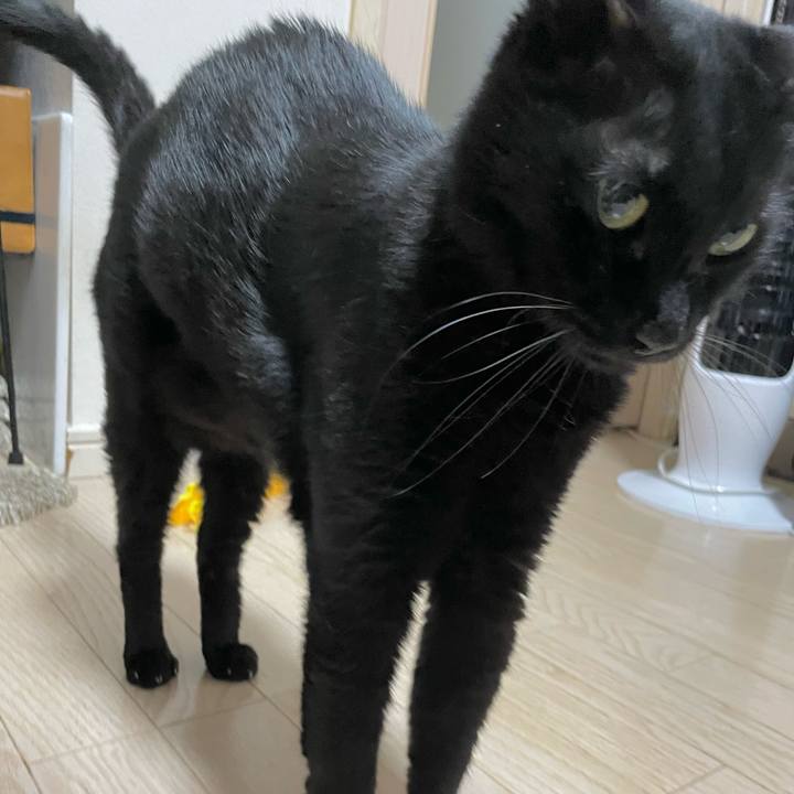 9ff3ea5b b8c9 4f6b a6e2 cf2f852acc42 1722082329143