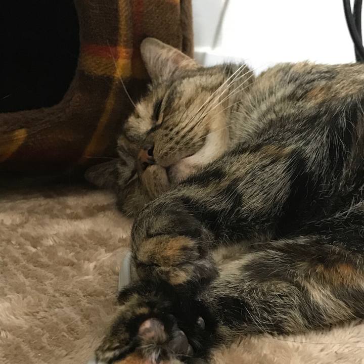 9ff3f744 8f2e 4ca0 afb9 23933f21b2f1 1518094732534