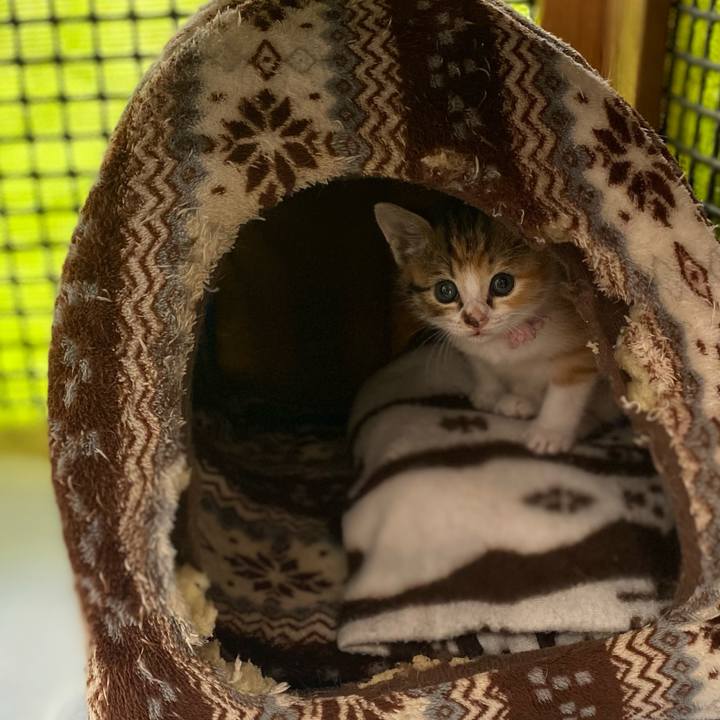 9ff3fe84 d014 4e46 86bf 699ae015260a 1620346968225