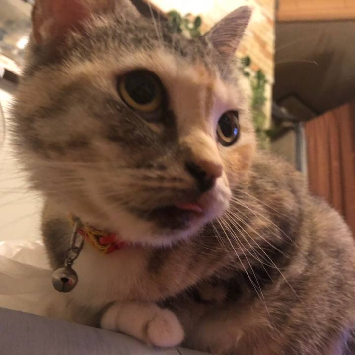 9ff404cf 9a2b 4e15 a304 b04c45ced076 1570173788425