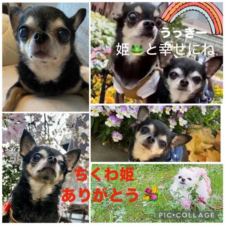 9ff4189e 4074 49fd a64b f095752095a4 1744334646715