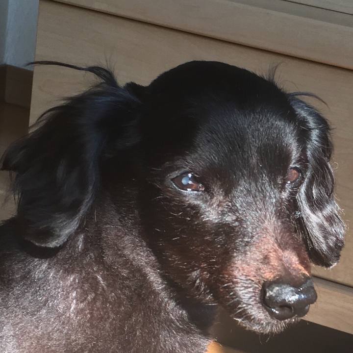 9ff42bce f3dc 480d 9f35 892fc22c23c9 1552606299239