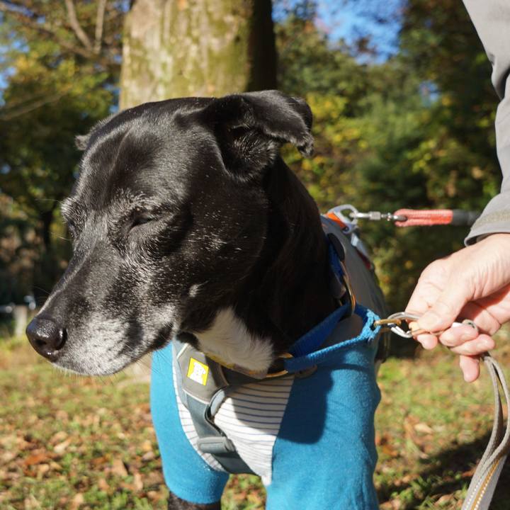 9ff460e3 0fd7 4973 a2be 24a5ede72166 1763079782226