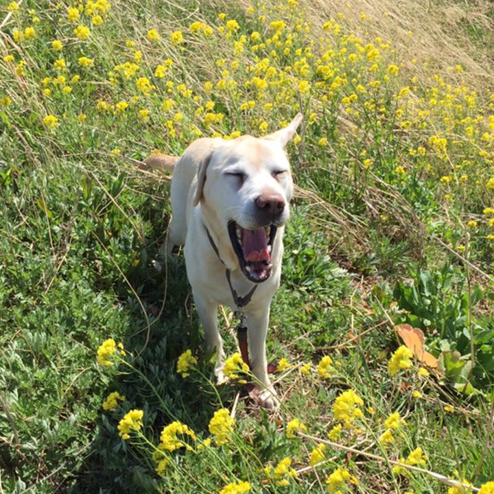 9ff46a9b 3503 436b b7e7 188575f6c379 1554844528046