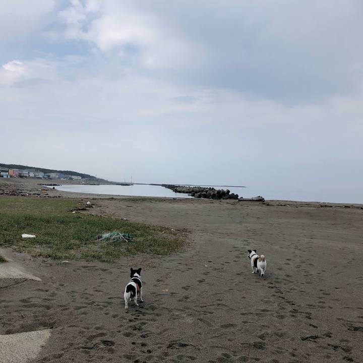 9ff4c308 9283 49a5 9dda 2ed3daf62c27 1561165465632