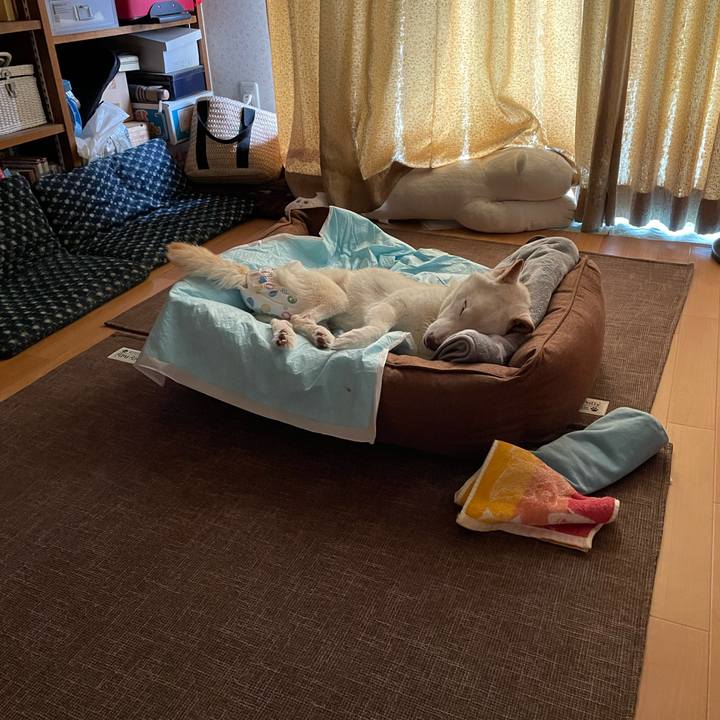 9ff4f24e 7c96 42cf a828 1016903a2c8e 1666393467753