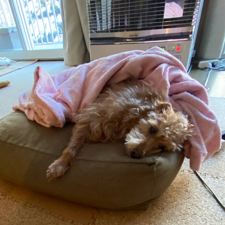 9ff4f426 8343 4932 a4f2 bee2026cc773 1704841261652