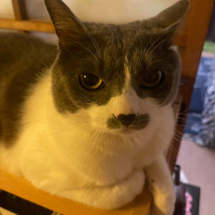 9ff50043 bef4 4484 bf83 378790c29f68 1748690437486