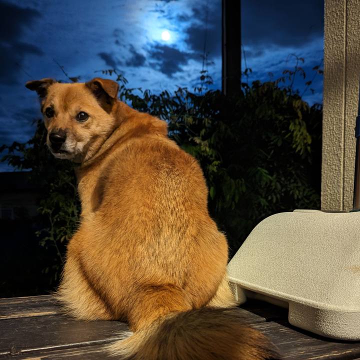 9ff50e00 fa77 440a b9b2 d16e9db1deba 1695985981219