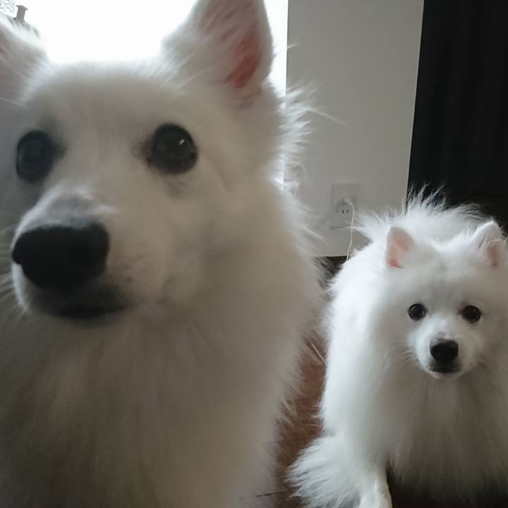 9ff52366 e120 4a1a a30d e8b3462f9eb0 1569294990665