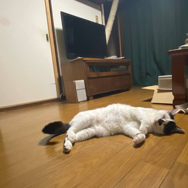 9ff52a2b 6b19 4afa a50f e146daae1d6e 1721573276689