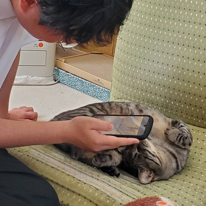 9ff55be4 16ad 4985 bc66 f0ed8dbf2b31 1711198817685