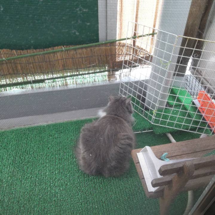 9ff5811d aa8c 4245 9455 41871934d547 1687298590389