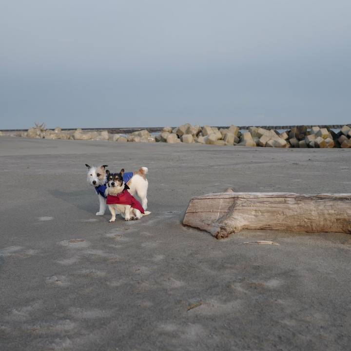 9ff58a86 0df1 4e5b bc52 6c8fb1b9daa3 1519450129267