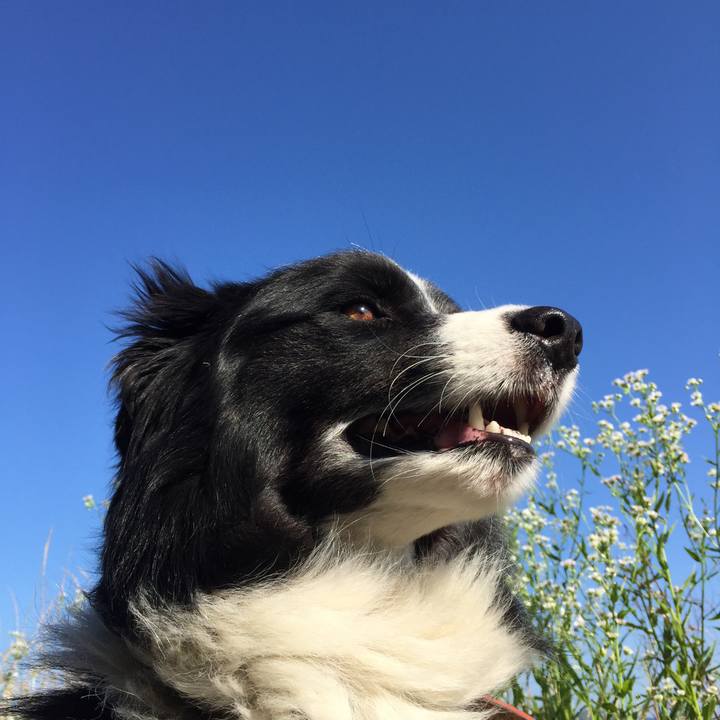 9ff5cef5 e762 4968 9d82 bade2f470e5e 1528844213176