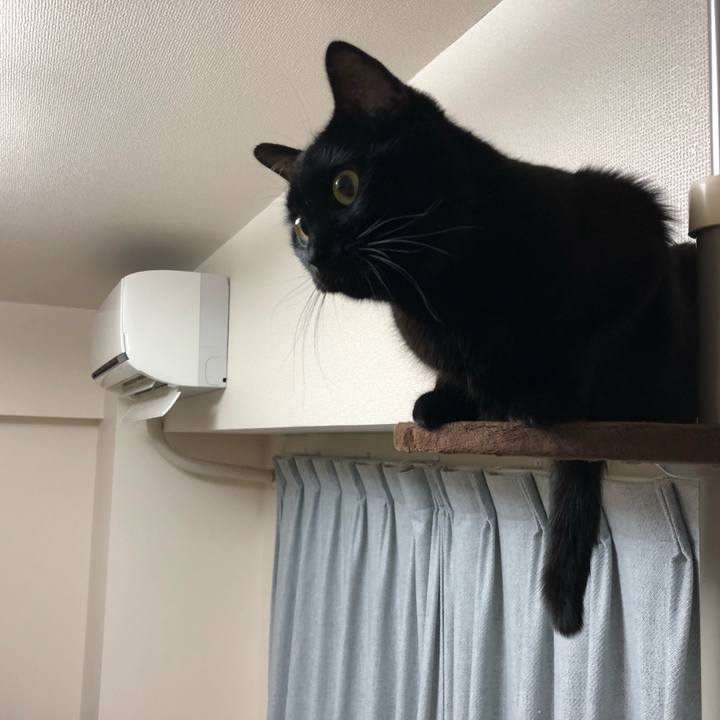 9ff62a8f ecb2 4399 9a8a cfcce41d6c95 1511265867356