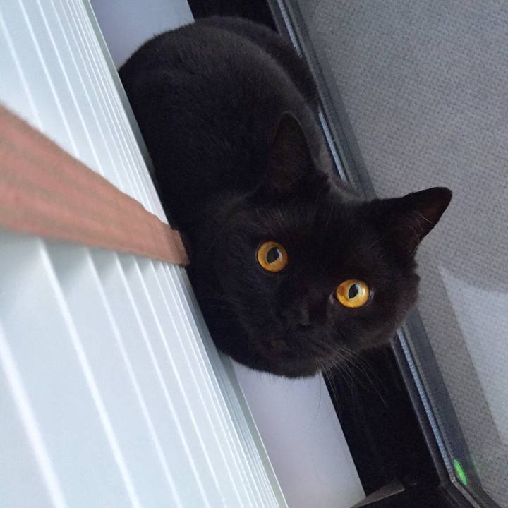 9ff62fd1 9107 4bd1 8453 d179d71bb21c 1594716437885