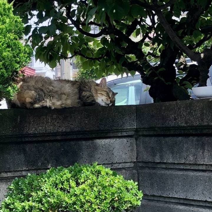 9ff65672 ae29 418c 964b 359430a69fa1 1772843227695