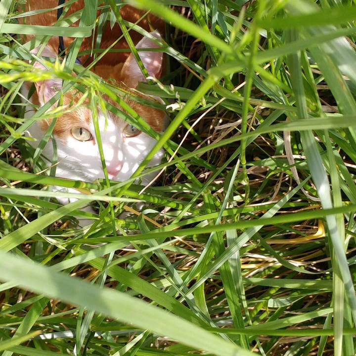 9ff65b0f 18a2 40de b21f c1c5008fb37d 1525597361353