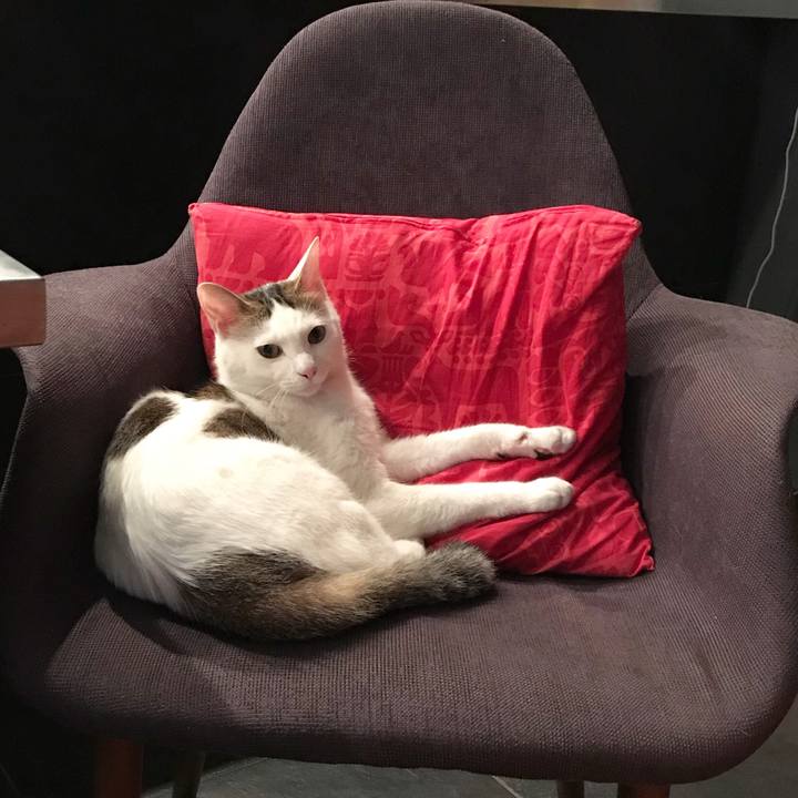 9ff6838a c2da 44cd 896c 3947835f50b2 1507809083579