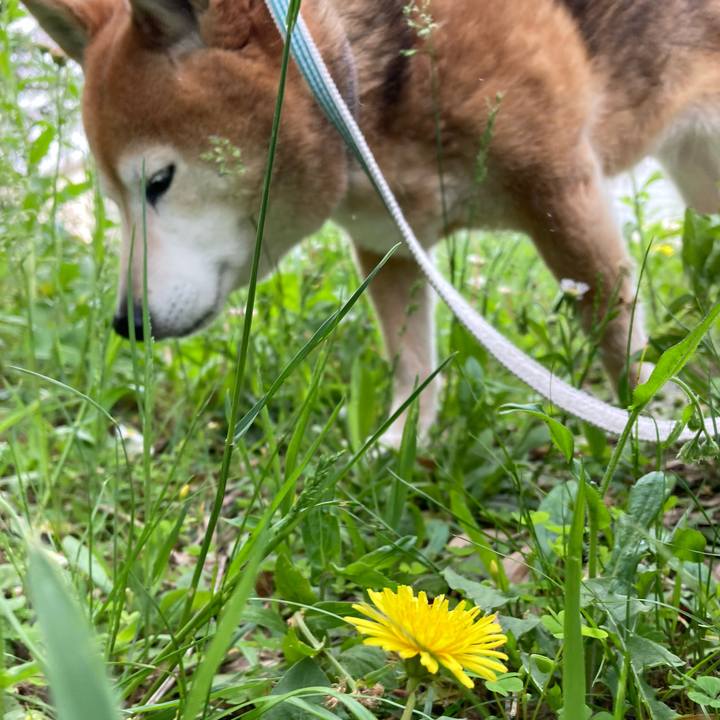 9ff689ff c23a 4946 b783 757d61bb9490 1747352747742