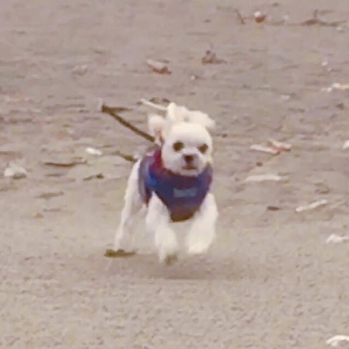 9ff6cdf2 d8d7 4c7a 8f16 c0db23caa512 1515410038433