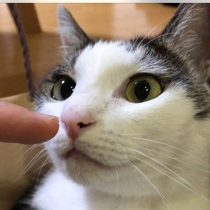 9ff6f50a 96ef 492a 871a 2ce5f8b04662 1660997769103